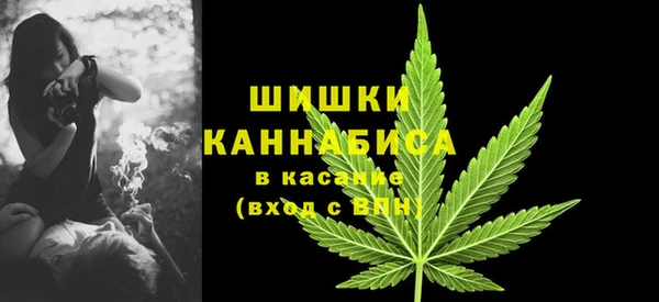 мдпв Карпинск