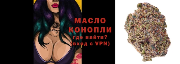 мдпв Карпинск