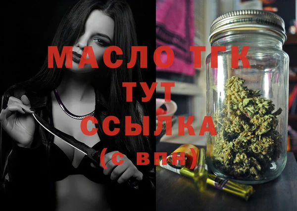мдпв Карпинск