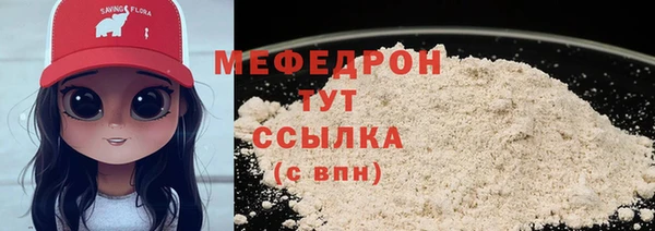 мдпв Карпинск